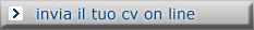 invia il tuo cv on line